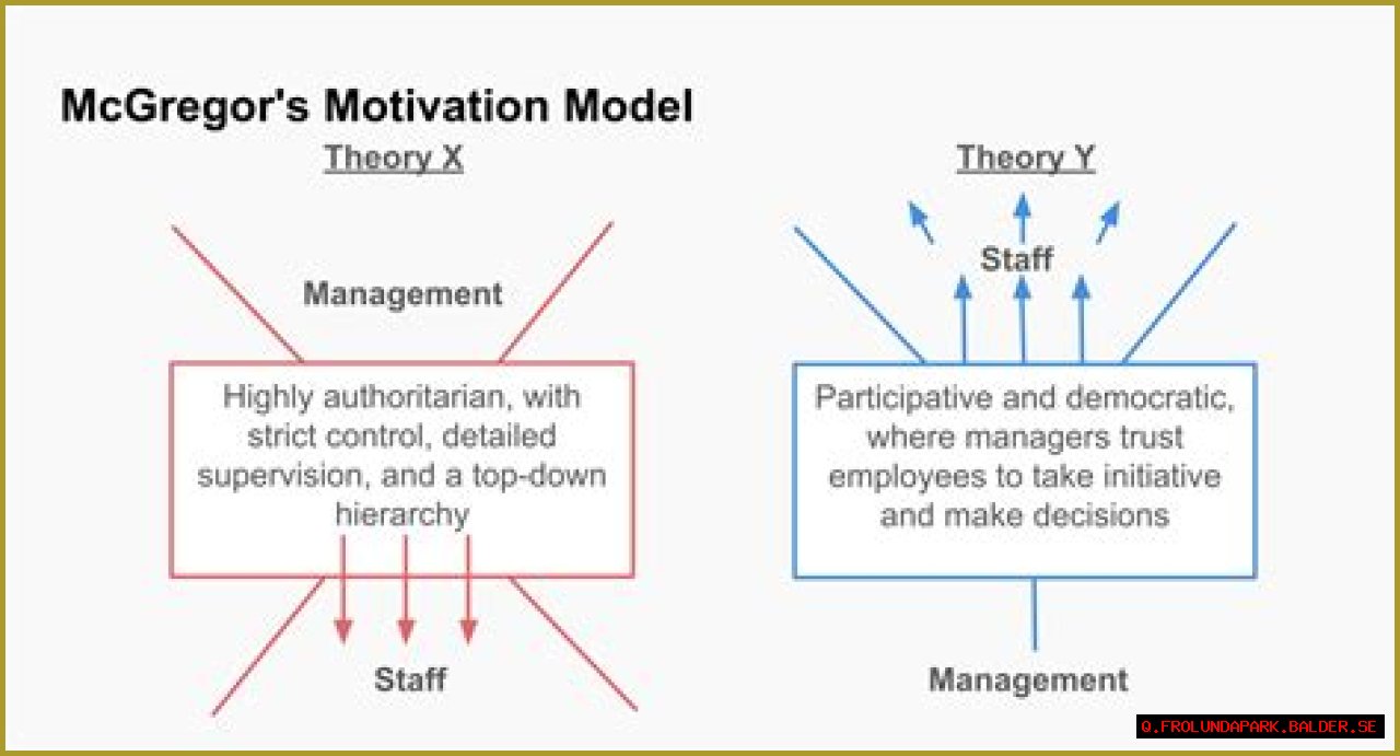 Understanding McGregor's Height In Feet: A Comprehensive Analysis